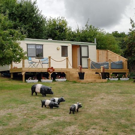 Violet Mays Retreat Starcross Esterno foto